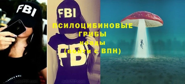 тгк Абинск