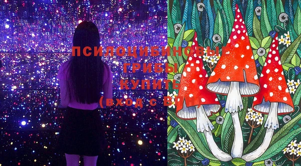 тгк Абинск